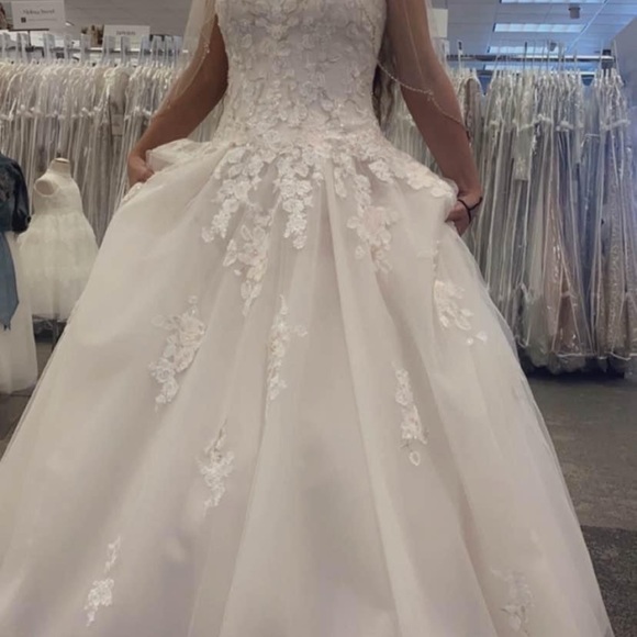 Wedding Dress - Picture 4 of 5